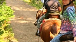Horse Trail Rides