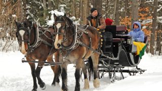 Vis-A-Vis Sleigh Ride