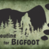 Scouting for Bigfoot